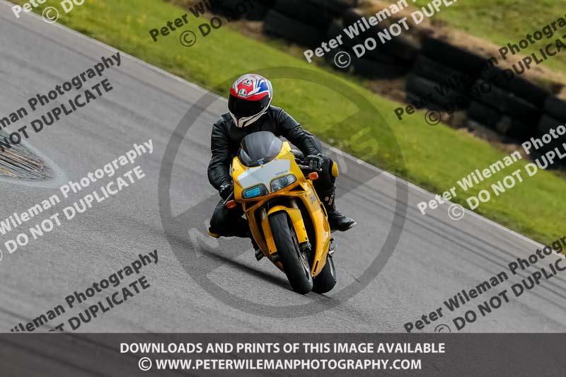 PJ Motorsport 2019;anglesey no limits trackday;anglesey photographs;anglesey trackday photographs;enduro digital images;event digital images;eventdigitalimages;no limits trackdays;peter wileman photography;racing digital images;trac mon;trackday digital images;trackday photos;ty croes